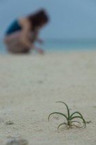 blog_malediven_20131104_114746 blog_malediven_20131104_114746