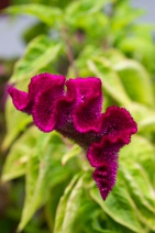 blog_malediven_20131104_120635 blog_malediven_20131104_120635