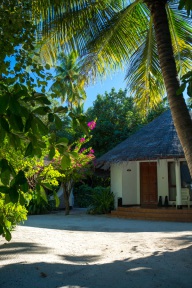 blog_malediven_20131106_153732 blog_malediven_20131106_153732