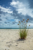 blog_malediven_20131105_093156 blog_malediven_20131105_093156