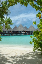 blog_malediven_20131105_095942 blog_malediven_20131105_095942