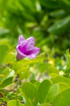 blog_malediven_20131105_113542 blog_malediven_20131105_113542