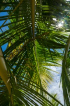 blog_malediven_20131105_123818 blog_malediven_20131105_123818