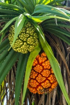 blog_malediven_20131105_123957 blog_malediven_20131105_123957