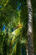 blog_malediven_20131106_153526 blog_malediven_20131106_153526