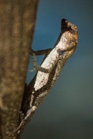 blog_malediven_20131106_095010 blog_malediven_20131106_095010