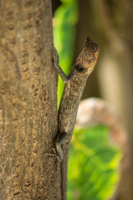 blog_malediven_20131106_095425 blog_malediven_20131106_095425