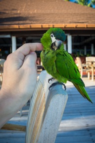 blog_malediven_20131106_165158 blog_malediven_20131106_165158