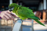 blog_malediven_20131106_165243 blog_malediven_20131106_165243