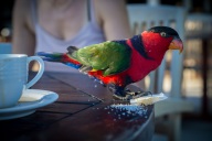 blog_malediven_20131106_165335 blog_malediven_20131106_165335