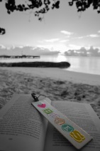 blog_malediven_20131106_173334 blog_malediven_20131106_173334