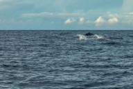 blog_malediven_20131107_062219-2 blog_malediven_20131107_062219-2