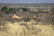 blog_namibia_20141027_105936 blog_namibia_20141027_105936