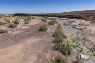 blog_namibia_20141027_142802 blog_namibia_20141027_142802