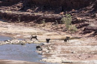 blog_namibia_20141027_143511 blog_namibia_20141027_143511