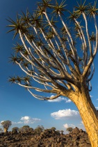 blog_namibia_20141027_175423 blog_namibia_20141027_175423