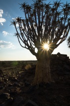 blog_namibia_20141027_180508 blog_namibia_20141027_180508