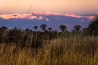 blog_namibia_20141027_185529 blog_namibia_20141027_185529