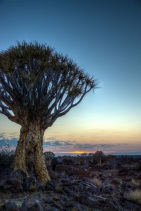 blog_namibia_20141028_060004 blog_namibia_20141028_060004