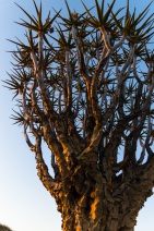 blog_namibia_20141028_061008 blog_namibia_20141028_061008