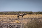 blog_namibia_20141028_134642 blog_namibia_20141028_134642