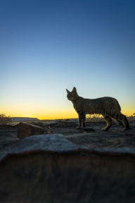 blog_namibia_20141029_060652 blog_namibia_20141029_060652