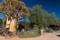 blog_namibia_20141029_080507 blog_namibia_20141029_080507