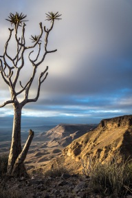 blog_namibia_20141030_063415 blog_namibia_20141030_063415