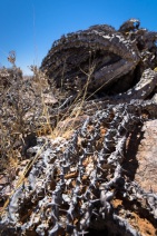 blog_namibia_20141030_110536 blog_namibia_20141030_110536