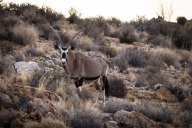 blog_namibia_20141030_191429 blog_namibia_20141030_191429