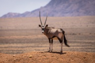 blog_namibia_20141031_120710 blog_namibia_20141031_120710