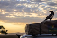 blog_namibia_20141031_183929 blog_namibia_20141031_183929