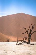 blog_namibia_20141101_094001 blog_namibia_20141101_094001