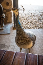 blog_namibia_20141101_150555 blog_namibia_20141101_150555