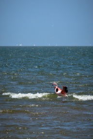 blog_namibia_20141102_123722 blog_namibia_20141102_123722