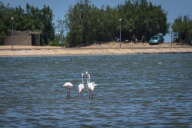 blog_namibia_20141102_123950 blog_namibia_20141102_123950