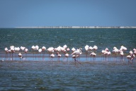 blog_namibia_20141102_124056 blog_namibia_20141102_124056