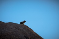 blog_namibia_20141103_064845 blog_namibia_20141103_064845