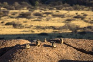 blog_namibia_20141103_070040 blog_namibia_20141103_070040