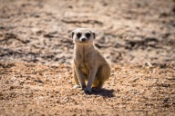 blog_namibia_20141103_095603 blog_namibia_20141103_095603