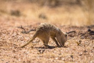 blog_namibia_20141103_100215 blog_namibia_20141103_100215