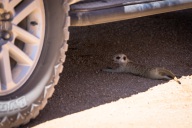 blog_namibia_20141103_102114 blog_namibia_20141103_102114