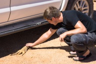 blog_namibia_20141103_103129 blog_namibia_20141103_103129