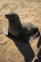 blog_namibia_20141103_161515 blog_namibia_20141103_161515