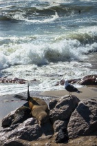 blog_namibia_20141103_161643 blog_namibia_20141103_161643