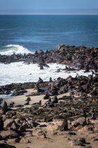 blog_namibia_20141103_162852 blog_namibia_20141103_162852