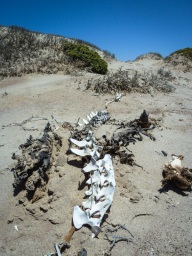 blog_namibia_20141104_121649 blog_namibia_20141104_121649