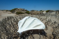 blog_namibia_20141104_121828 blog_namibia_20141104_121828