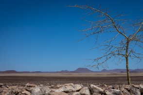 blog_namibia_20141104_145913 blog_namibia_20141104_145913