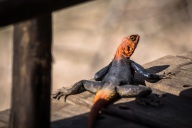 blog_namibia_20141105_092456 blog_namibia_20141105_092456